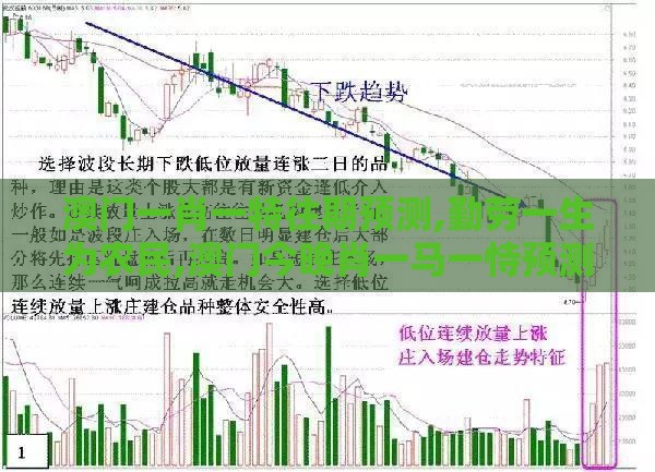 澳门一肖一特往期预测,勤劳一生为农民,澳门今晚肖一马一恃预测技巧创意解答、专家解析解释与落实​,留心误导的假宣传单