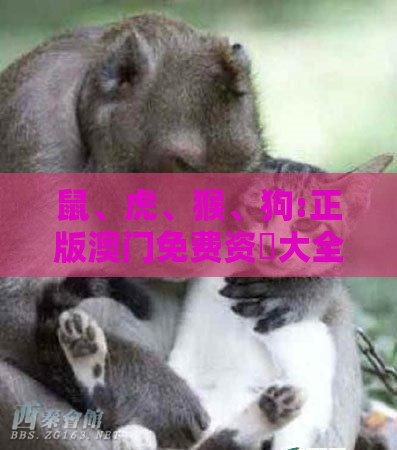 鼠、虎、猴、狗:正版澳门免费资枓大全跟管家和100%精准谜语怎么解-效果解读、专家解读解释与落实,抵制不实承诺危害